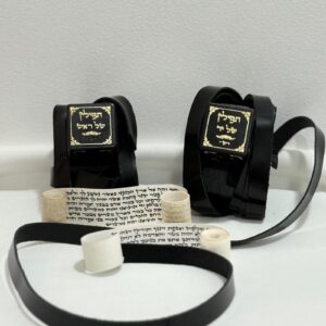 תפילין בהמה גסה מהודר